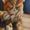 Photo of Nichole S.