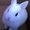 Photo of Qupia S.