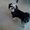 Photo of Kecia S.