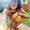 Photo of Cindylee B.