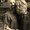 Photo of Sherrilynn G.