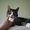 Photo of Lulu S.