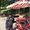 Photo of Rajesh N.