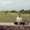 Photo of Rithika K.