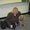 Photo of Diana S.