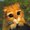 Photo of Qype User (Connym…)