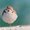 Photo of Qype User (jam20f…)