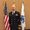 Photo of Tj C.