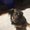 Photo of Tonette P.