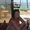 Photo of Maryann R.