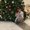 Photo of Thuong N.