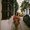 Photo of Mayron Y.