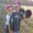 Photo of Shanna R.