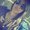 Photo of Kinza M.