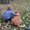 Photo of Nicole S.