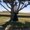 Photo of Earth E.