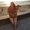 Photo of Janay T.