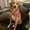 Photo of Megan T.