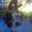 Photo of Ashleigh T.