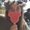 Photo of Melissa J.