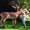 Photo of Qype User (bebouc…)