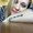 Photo of Smiley C.