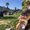 Photo of Melina S.