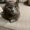 Photo of Sarahi N.