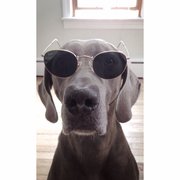 google avatar
