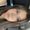 Photo of Deann T.