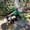 Photo of Ayush S.