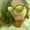 Photo of Viviana T.