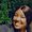 Photo of Jaenae P.