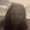 Photo of Usha M.