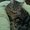 Photo of Lyndsay I.