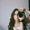 Photo of Tiffany K.