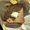 Photo of Lt D.