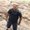 Photo of Norberto M.