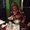Photo of Colleen S.