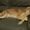 Photo of Bobby B.