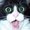 Photo of Qype User (cheffi…)