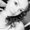 Photo of Elizabeth G.