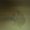 Photo of Cas T.