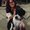Photo of Lani S.