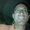 Photo of Darren V.