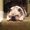 Photo of Patrick Holly L.