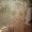 Photo of Beckie G.
