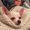 Photo of Sheren L.