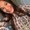 Photo of Vanessa M.