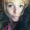 Photo of Kristina S.